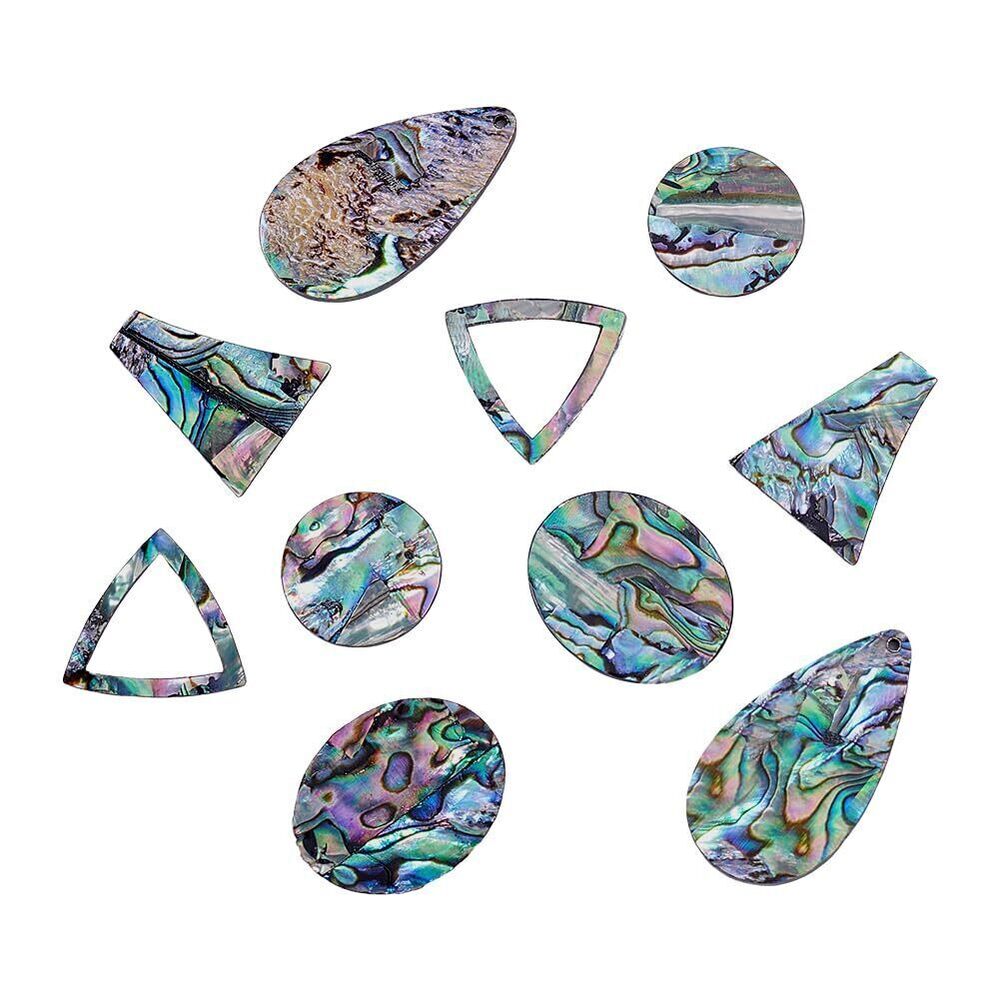 9544 10Pcs Abalone Shell Cabochon, 5 Styles Natural Paua Shell Cabochons